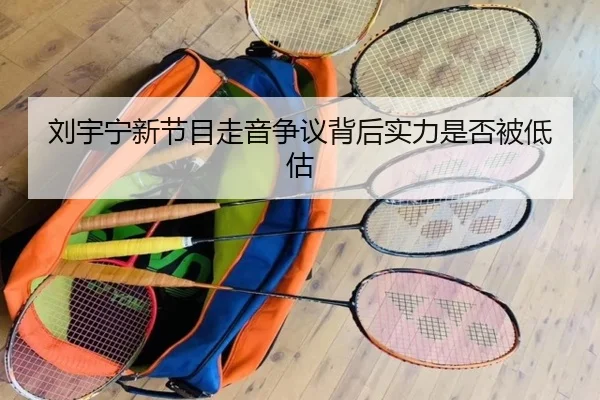 刘宇宁新节目走音争议背后实力是否被低估